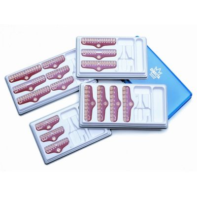 Directa Polycarbonate Temporary Crown Kit 1-6