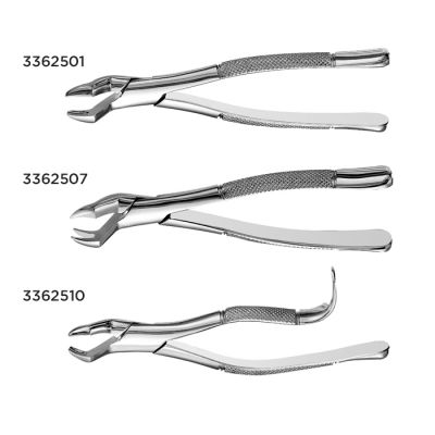 Extraction Forceps - Upper Molars